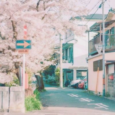 佩帅：三大外援发挥出色 崔康熙：回主场定赢苏宁